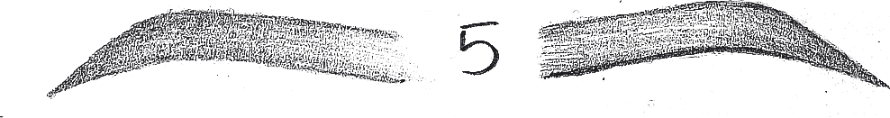 Diseño de ceja número 5, dibujado a lápiz por Katy Durán